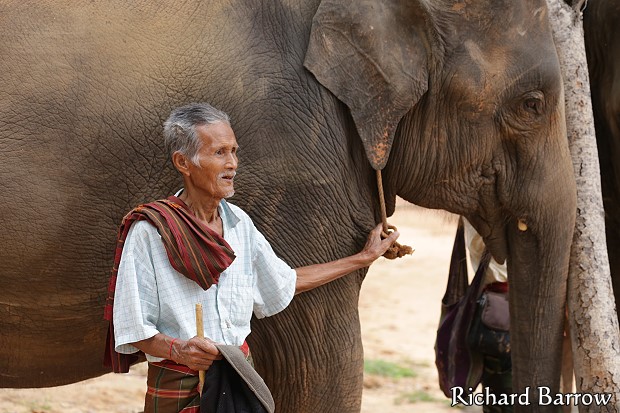 Ban Taklang Elephant Village